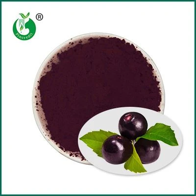 Pure Acai Powder Pure Acai Powder