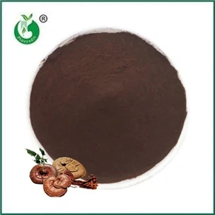 क्यों Reishi बीजाणु पाउडर स्वास्थ्य जगत में तूफान ला रहा है?